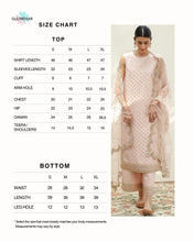 GLIMMER VEIL | 3-pc Stitched Embroidered Outfit