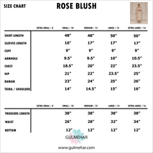 ROSÉ BLUSH | 3-PC Stitched Embroidered Outfit